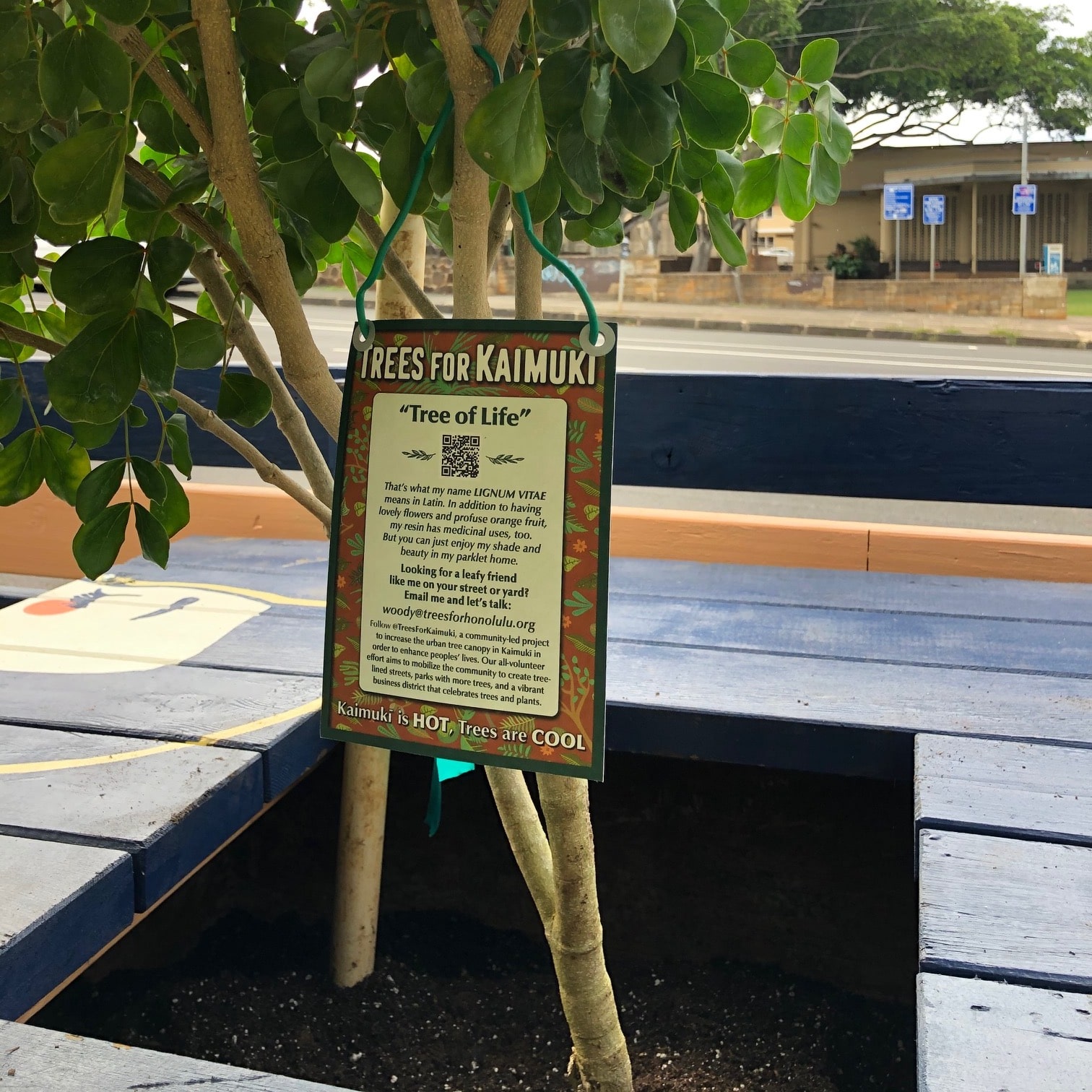 impact act trees for kaimuki