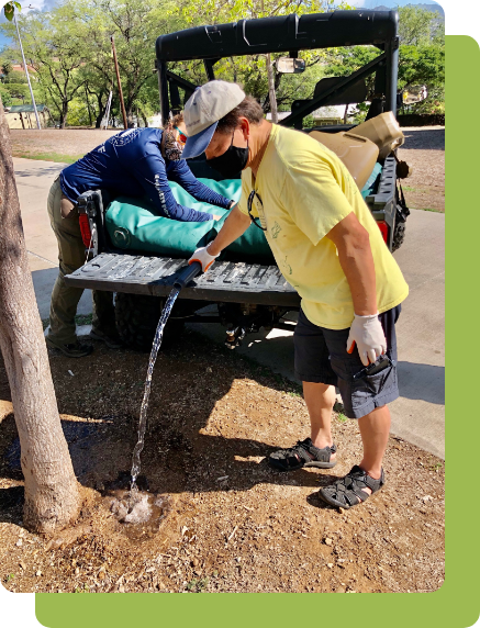 volunteers fight climate change