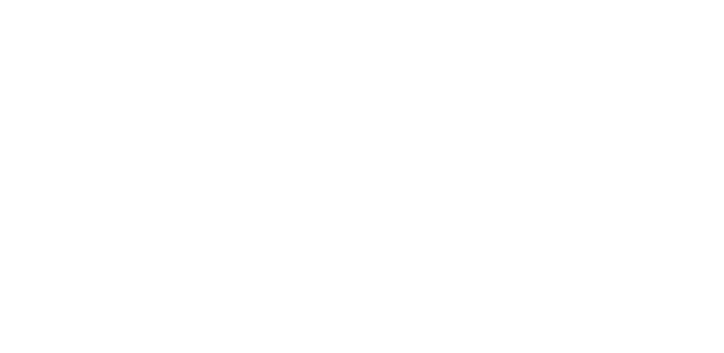 BZP Logo 2022